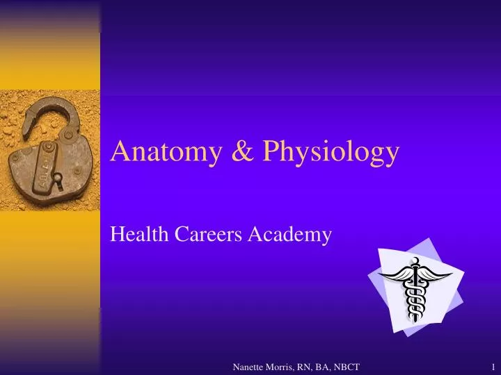 health careers academy