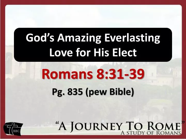god s amazing everlasting love for his elect