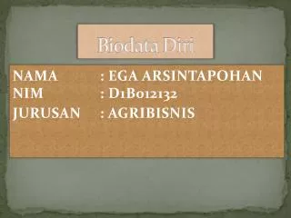 biodata diri