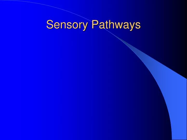 sensory pathways