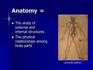 anatomy