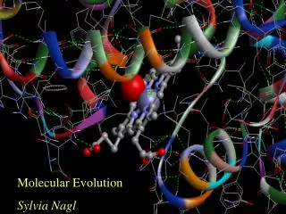 Molecular Evolution Sylvia Nagl