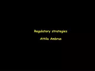 Regulatory strategies Attila Ambrus
