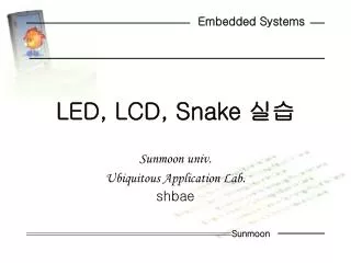 led lcd snake