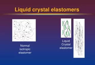 Liquid crystal elastomers