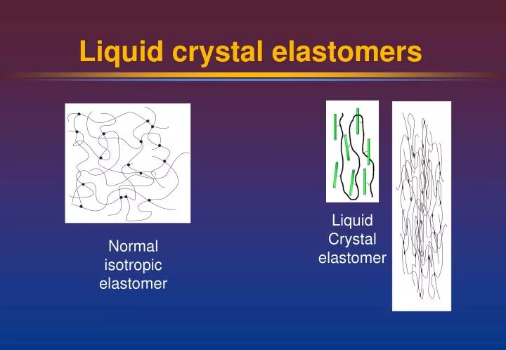 liquid crystal elastomers