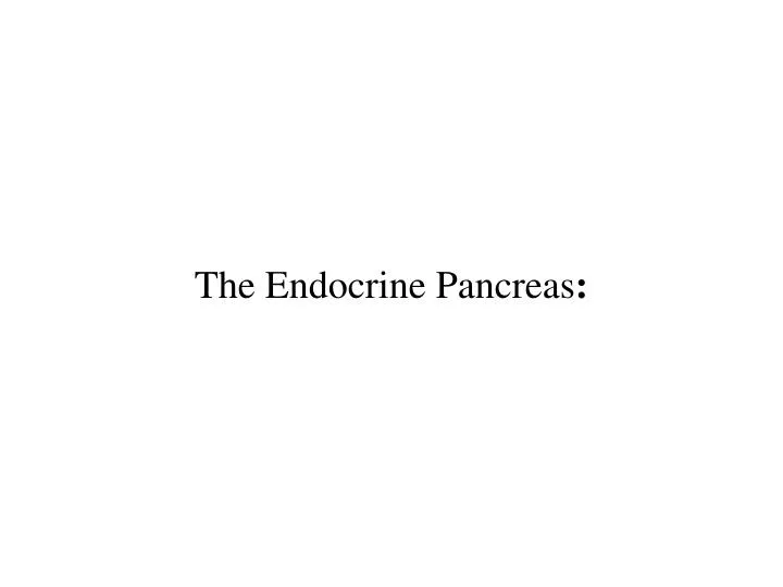 the endocrine pancreas