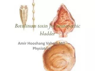 Botulinum toxin for neuropathic bladder