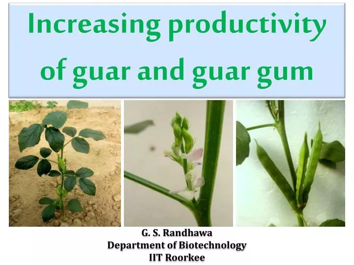 increasing productivity of guar and guar gum