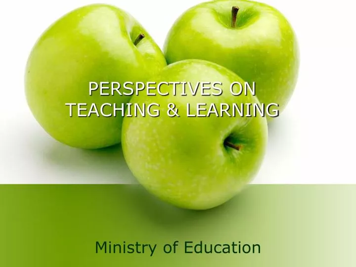 perspectives on teaching learning