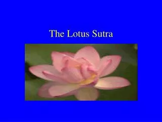 The Lotus Sutra