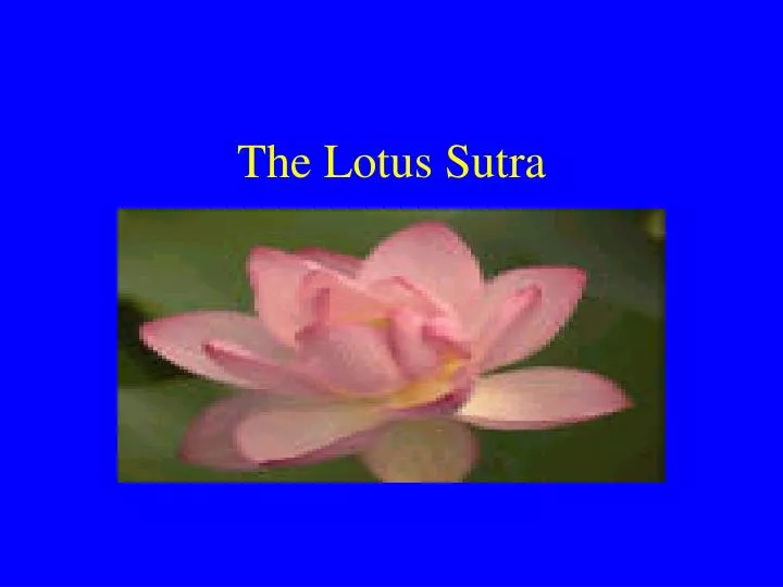 the lotus sutra