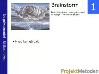 ny privatmodel risikoanalyse