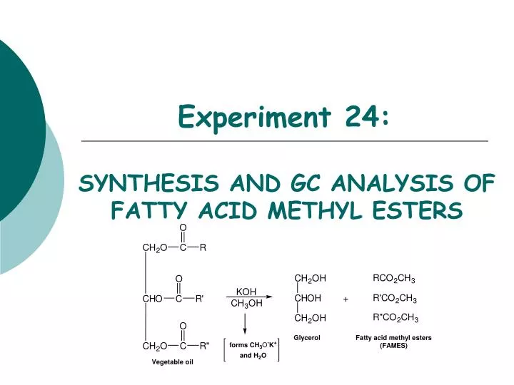 experiment 24