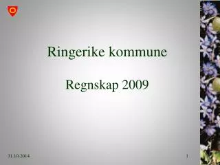 ringerike kommune regnskap 2009