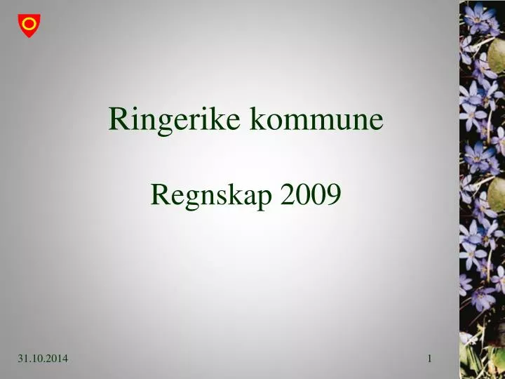 ringerike kommune regnskap 2009