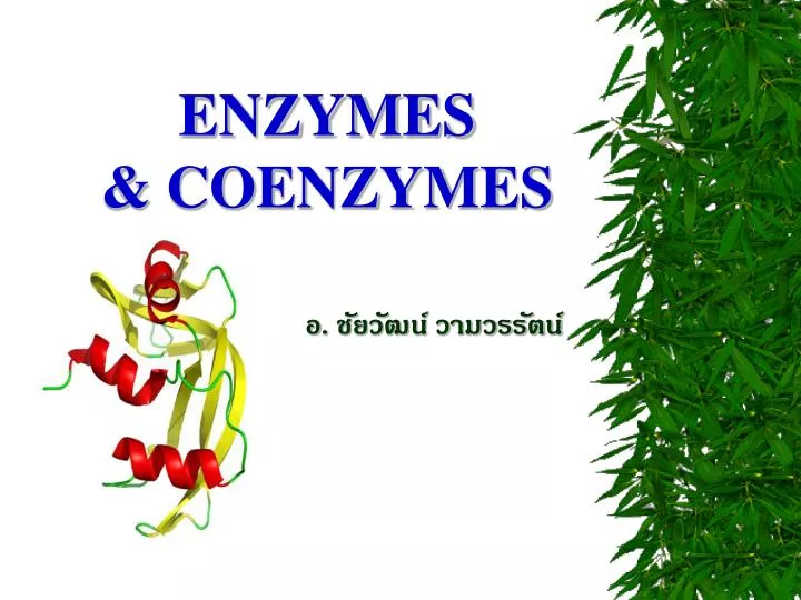 enzymes coenzymes