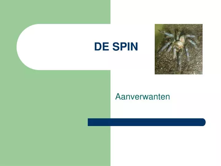 de spin