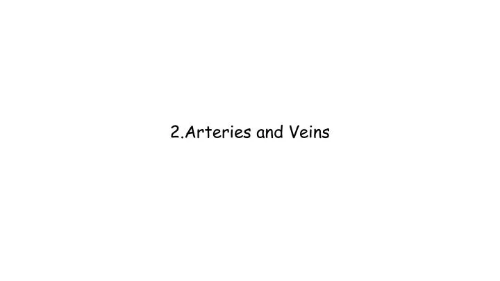 2 arteries and veins