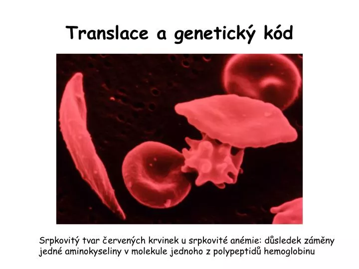 translace a genetick k d