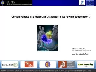 Comprehensive Bio molecular Databases: a worldwide cooperation ?