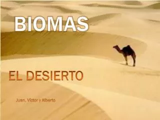 el desierto