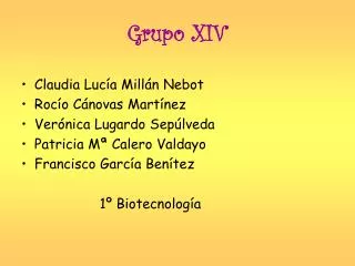 grupo xiv