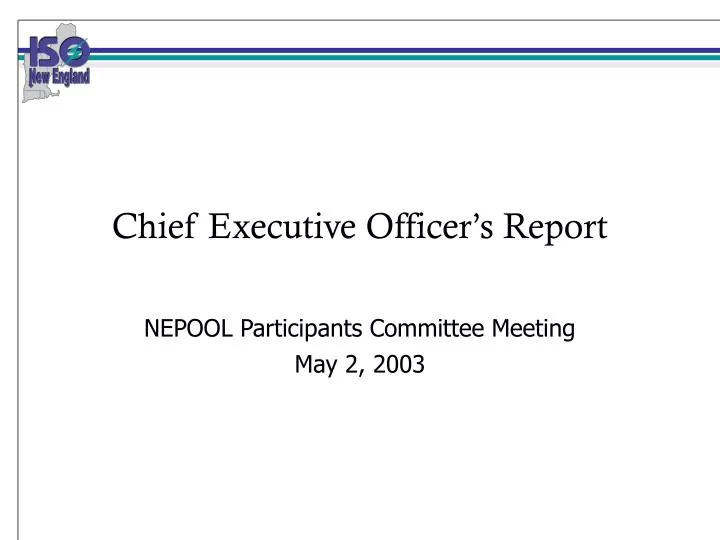 chief executive officer s report