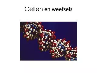 cellen en weefsels