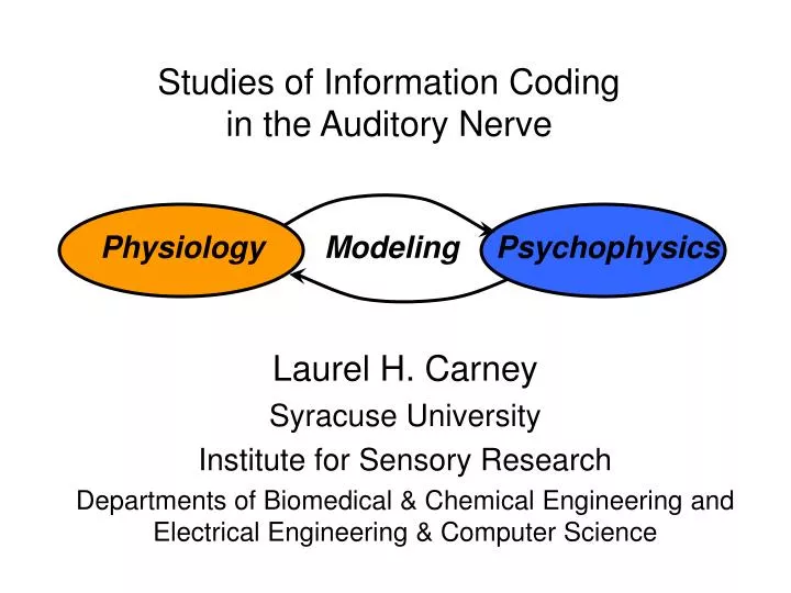 studies of information coding in the auditory nerve