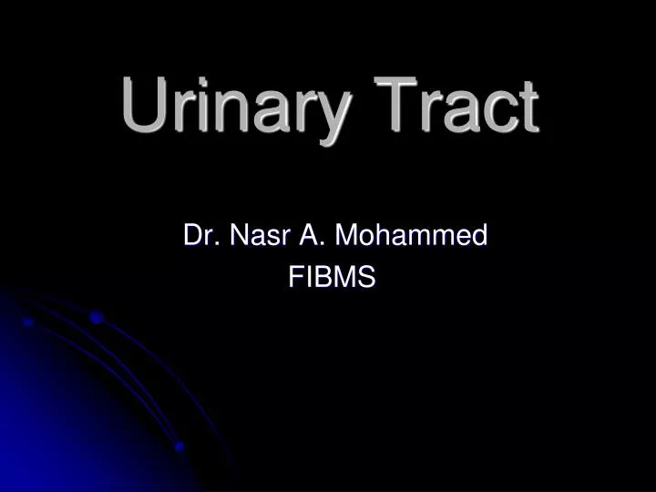urinary tract