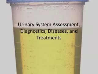 Urinary System Assessment, Diagnostics , Diseases, and Treatments