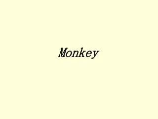 monkey