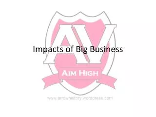 impacts of big business