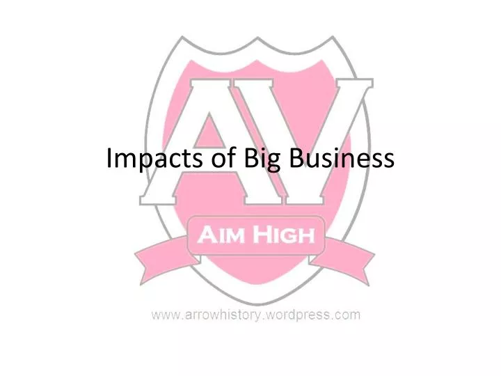 impacts of big business