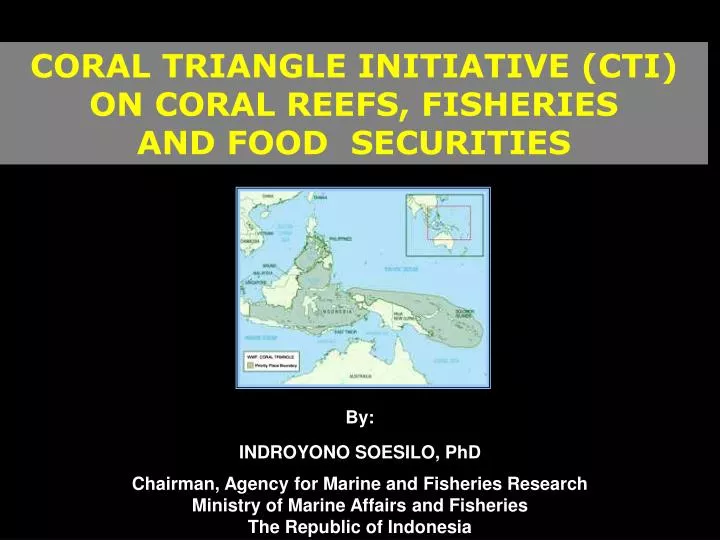 coral triangle initiative cti on coral reefs fisheries and food securities