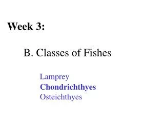 Week 3: 	B. Classes of Fishes Lamprey Chondrichthyes 		Osteichthyes