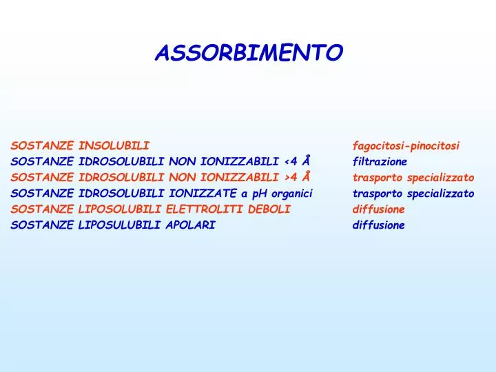 assorbimento