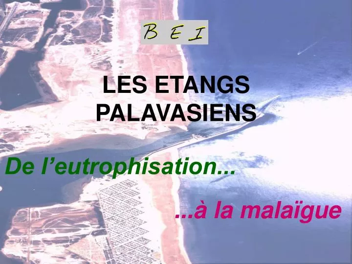 les etangs palavasiens