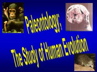 Paleontology; The Study of Human Evolution