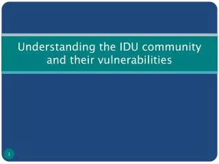 Understanding the IDU community and their vulnerabilities