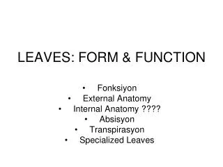 LEAVES: FORM &amp; FUNCTION