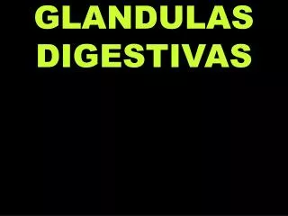 glandulas digestivas