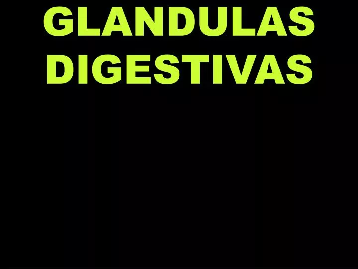 glandulas digestivas