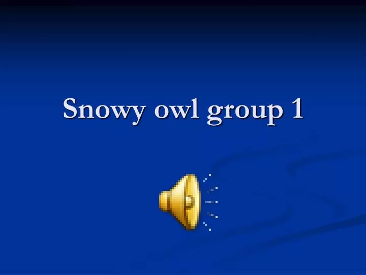 snowy owl group 1