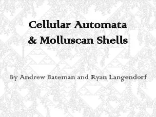 Cellular Automata &amp; Molluscan Shells