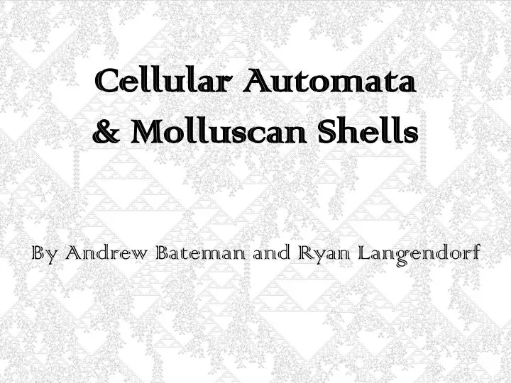 cellular automata molluscan shells