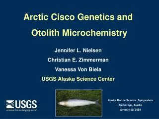 Arctic Cisco Genetics and Otolith Microchemistry