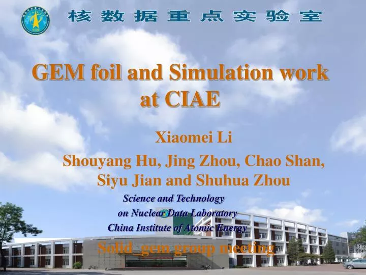gem foil and simulation work at ciae