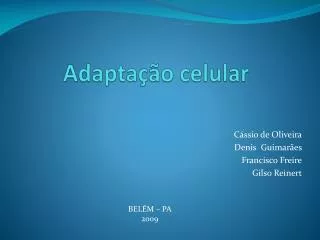 adapta o celular